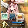 【FGO】ハベにゃん借りて宝物庫周回してるとたまにこうなってしまうよね